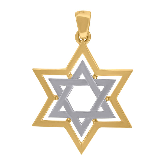 14kt Two-tone Gold Womens Cubic Zirconia David Of Star Charm Pendant