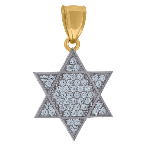 10kt Two-tone Gold Cubic Zirconia Star of David Religious Charm Pendant