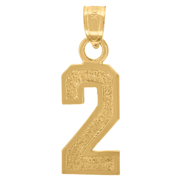 10kt Yellow Gold Unisex Textured Number 2 Charm Pendant