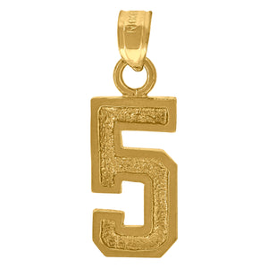 10kt Yellow Gold Unisex Textured Number 5 Charm Pendant