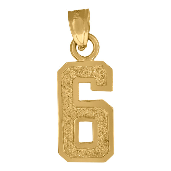 10kt Yellow Gold Unisex Textured Number 6 Charm Pendant