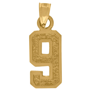 10kt Yellow Gold Unisex Textured Number 9 Charm Pendant